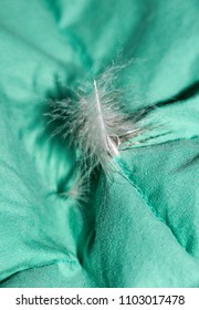 Feather Sticking Out Of Duvet