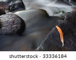 feather and stream