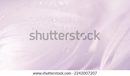 Feather texture in drops of water