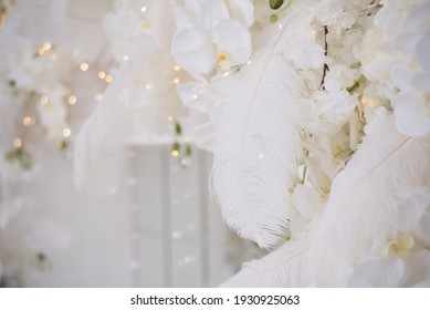 feather in wedding decor arch