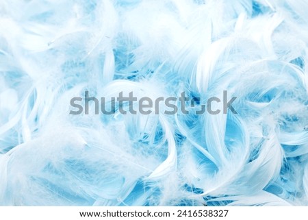 Feathers background. Artificial decorative feathers texture. Soft cotton background. Fluffy bird feather. Various shapes. Blue color cotton wool pattern. Handmade decorations decoupage.