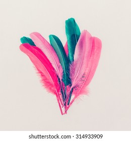 Feathers. Fashion Photo. Minimal Style