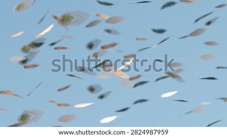 Feathers floating in light blue sky, some with peacock eye patterns, others plain or blurred, drifting gently in various directions.
