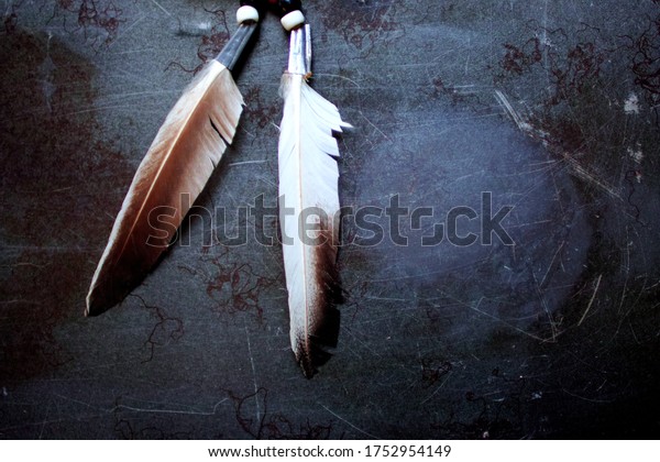 Feathers\
of a medicine wheel - a symbolic concept of wellbeing of body and\
mind as per the Native American tribal\
beliefs.