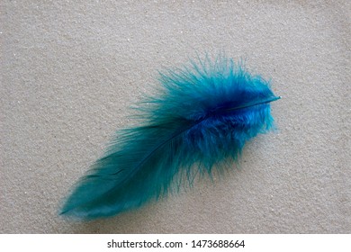 Feathers on a background of sand