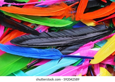 Feathers texture. Beautiful colored vibrant bird feathers photo as background. 