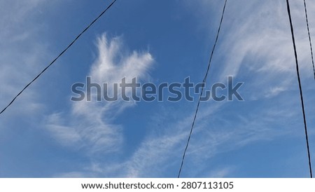 Feathery clouds drifting quietly through an open sky