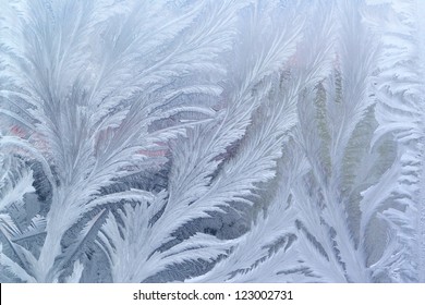  Feathery frost pattern - ice flowers on window glass.