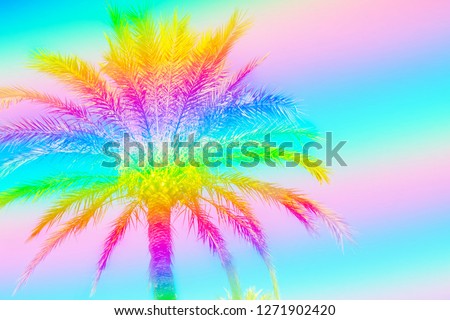 Feathery palm tree on sky background toned in rainbow neon colors. Surrealistic funky style. Copy Space for Text. Tropical beach vacation wanderlust. Card poster flyer party invitation template
