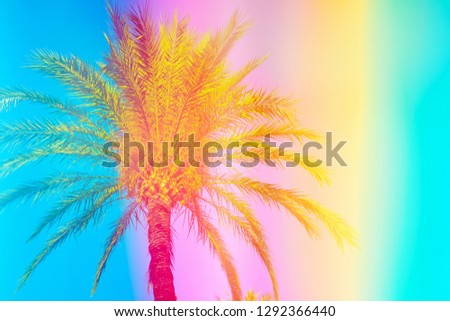 Feathery palm tree on sky background toned in vibrant saturated rainbow neon pastel colors. Surrealistic funky style. Tropical beach vacation wanderlust. Card poster flyer party invitation template