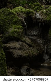 features a compact forest cascade flowing between rounded moss-covered rocks in a dark, quiet woodland stream.