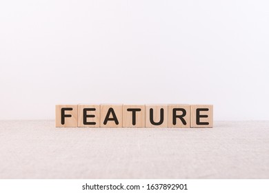 FEATURES word made of building blocks on a light background - Shutterstock ID 1637892901