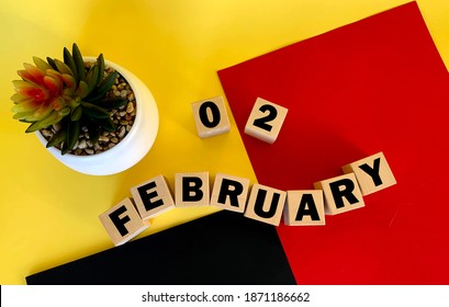 February 2 on wooden cubes .Next to it is a pot with a cactus on a multicolored background.Calendar for February . - Shutterstock ID 1871186662