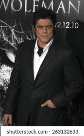 February 9, 2010. Benicio Del Toro At The Los Angeles Premiere Of 