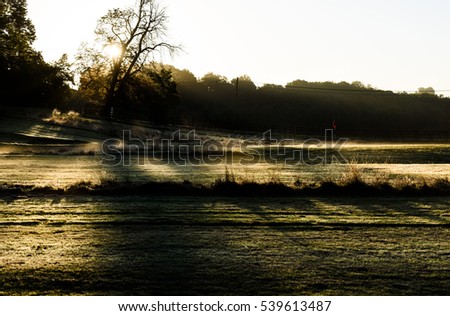 February dawn misty sunrise across a golf course