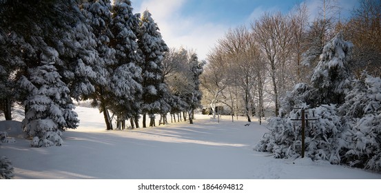 February And A Heavy Snowfall Covers The Garden Around The Yorkshire Dales Smallholding