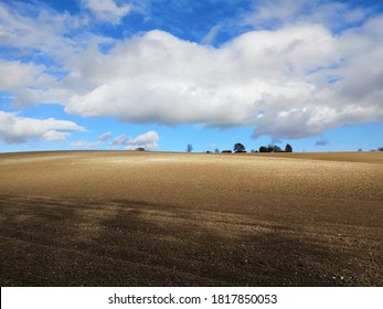 February Landscape Of The South Downs, Hampshire 