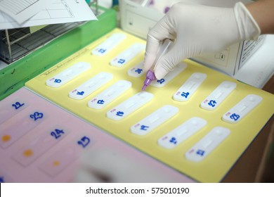 Fecal Occult Blood Strip Test For Stool Examination Laboratory