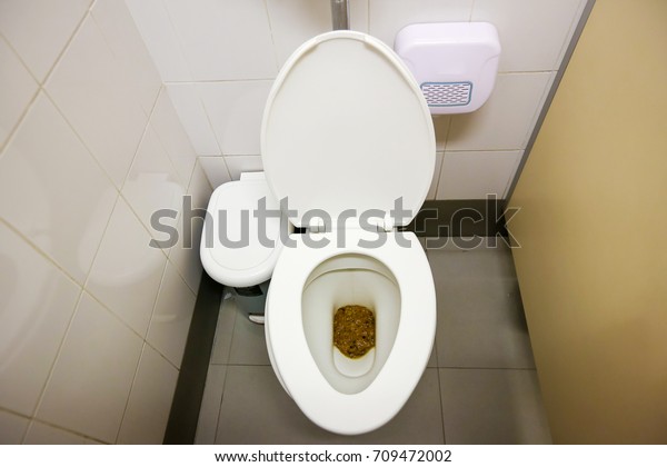 Feces Public Toilet Users Who Forget Stock Photo (Edit Now) 709472002