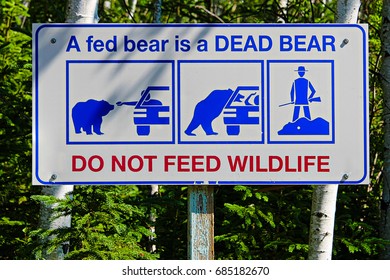 40 Do not feed the bear Images, Stock Photos & Vectors | Shutterstock