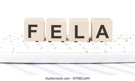 Federal Employers Liability Act FELA Text On The Wooden Block