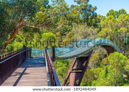 Federation Walkway at Kings park and botanic garden in Perth, Australia