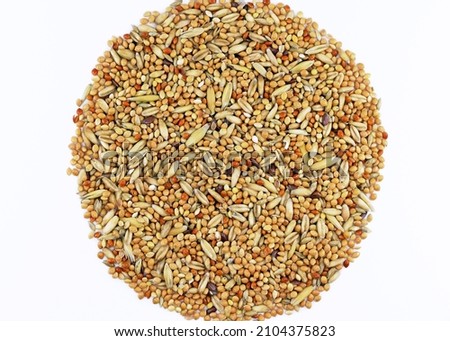 Feed for budgies and other small birds, a mixture of seeds containing mainly millet and oats