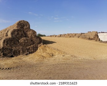 Feed For Farm Animals.  Silage, And Grain Pellets For Animals.