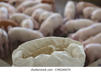 Feed Pellets For Pigs In A White Bag, Prepared For The Next Meal