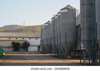 Feed Stores In The Feed Factory For Poultry