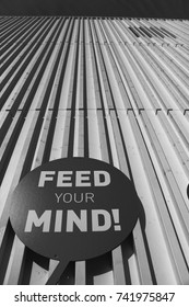 FEED Your Mind