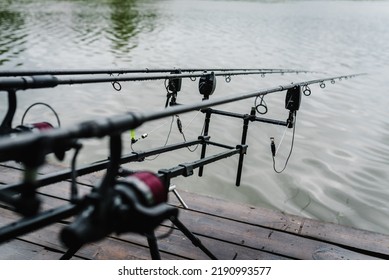 Feeder Fishing With Reel Close Up. Fishing Rods For Carp Fishing With Signaling Devices On The Holder. Rod Pod. 