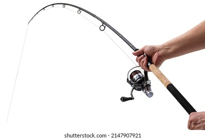 feeder rod for fishing isolated on white background 