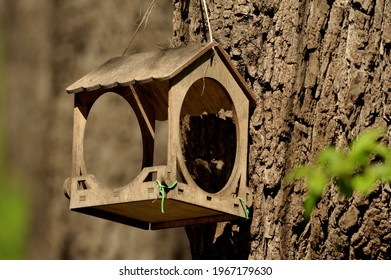 Feeder For Squirrels Who Are In No Hurry To Eat