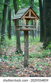 Feeder for squirrels and wild animals in the forest. Wooden feeder on the background of trees.