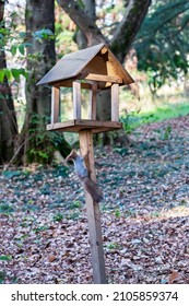 Feeder for squirrels and wild animals in the forest. Wooden feeder on the background of trees. Squirrel eats food