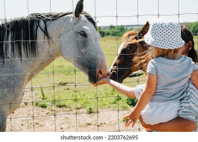 Feeding Animals On Farm, Family Vacation. Close-up Mother And Daughter Giving Food To Horses Outdoors. Back View, Selective Focus On Animals.