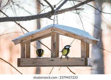Feeding birds in winter. Cute garden birds Great Tits eat nutritious seeds from homemade wooden feeder.