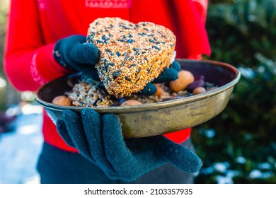 Feeding Birds In Winter. Woman With Bird Food.