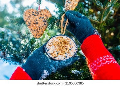 Feeding Birds In Winter. Woman With Bird Food.