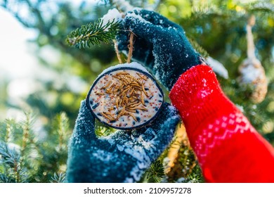 Feeding Birds In Winter. Woman With Bird Food.