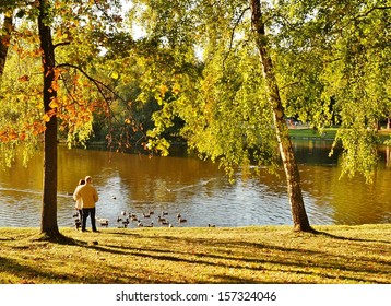 Feeding The Ducks