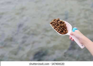 Fish-feed Images, Stock Photos & Vectors | Shutterstock