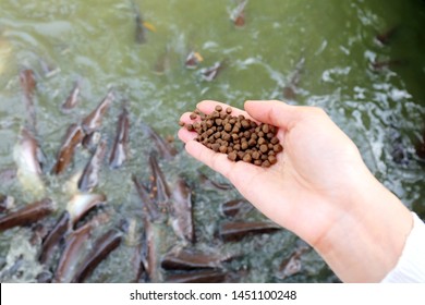 Fish-feed Images, Stock Photos & Vectors | Shutterstock