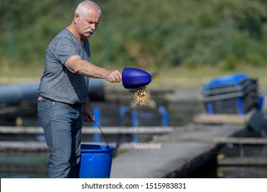 Feeding Fish At A Fish Farm