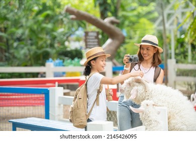 Feeding The Goat. Asian Mother And Daughter Feeds A White Goat With Her Hand At Animal Farm. Outdoor Fun For Kids. Child Feeds Animal At Zoo. Happy Family Petting A Goat Through Wooden Fence.