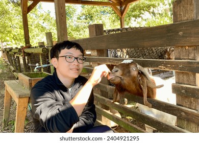 Feeding goats at the Leo Foo Resorts