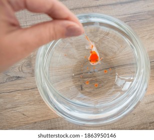 
Feeding Goldfish In Aquarium
Female Hands