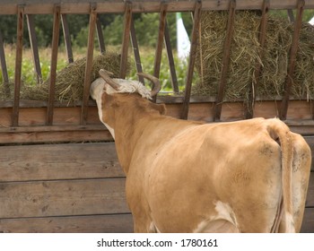 Cattle Hay Feeder Images Stock Photos Vectors Shutterstock