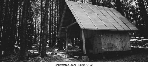 feeding rack  in forest 